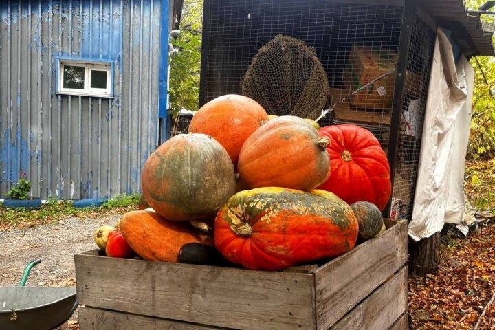    Фото:Ульяна Кузьменко