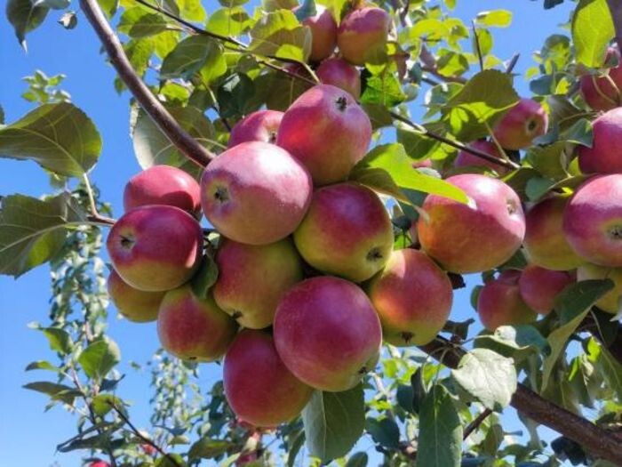 Иллюстрация: © «Панорама»