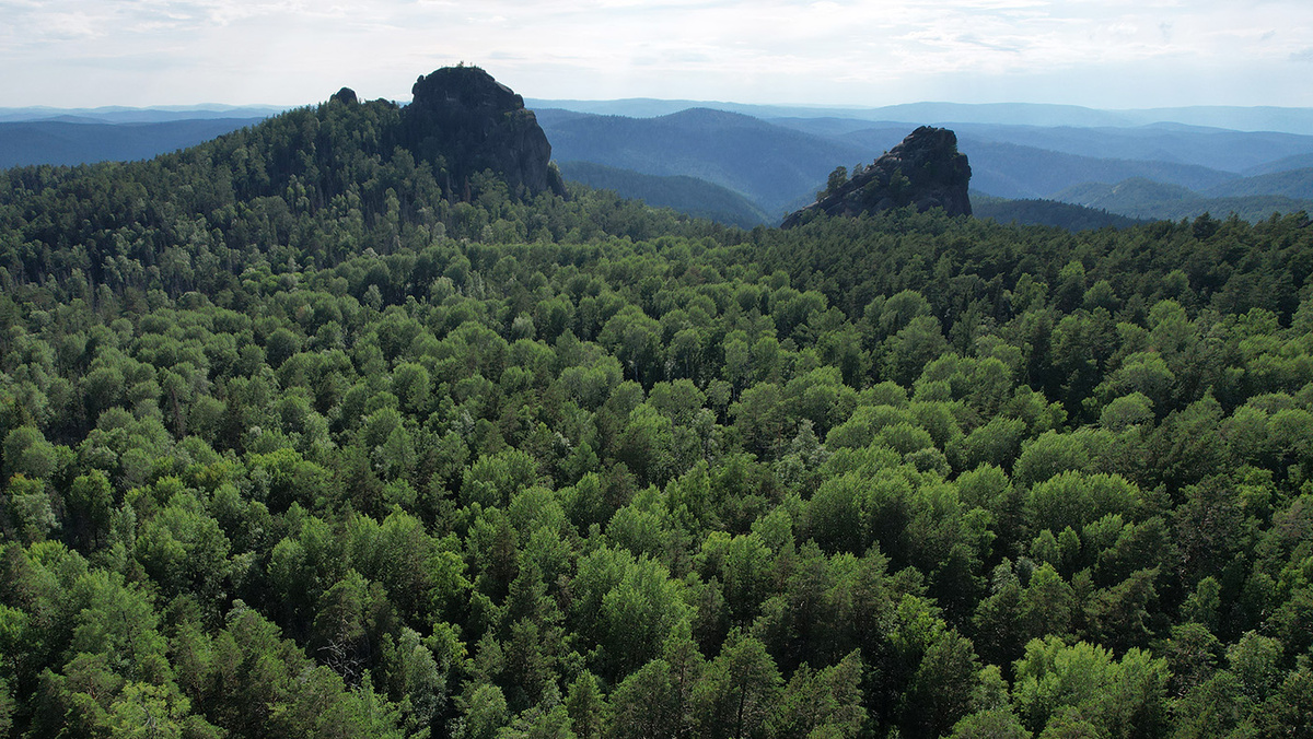   Антон Новодережкин / ТАСС- Архивное фото