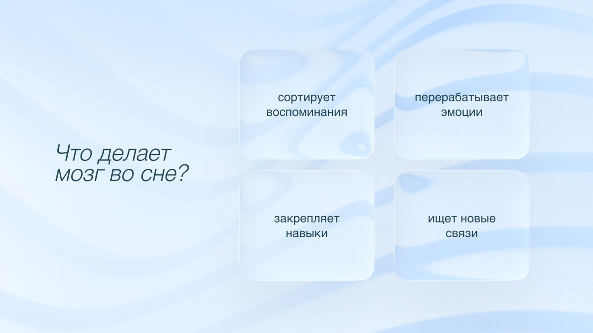 Что делает мозг во сне?