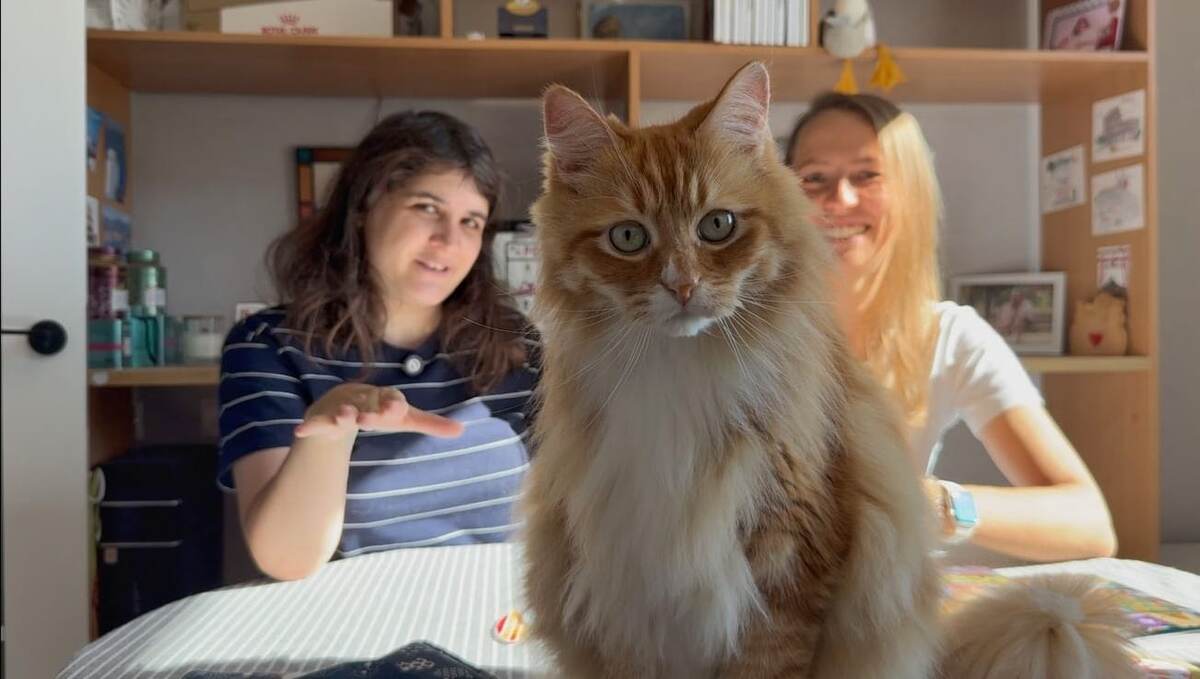 Скриншот из видео