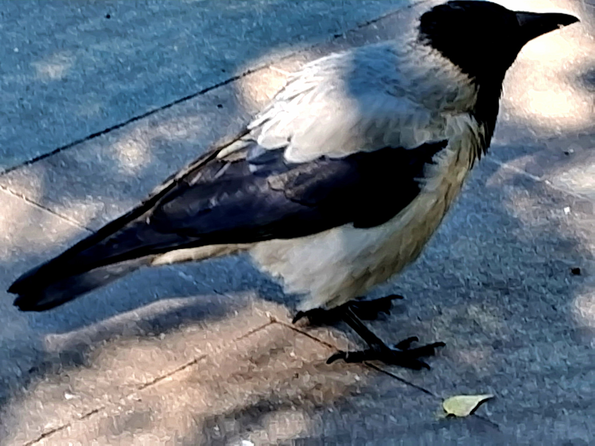 Фотография из личного архива автора 