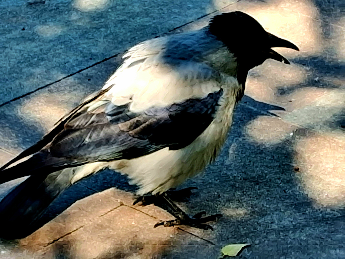 Фотография из личного архива автора 