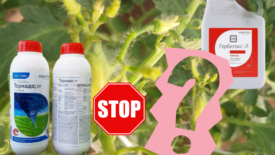 Гербициды: как работать безопасно и можно ли обойтись без них