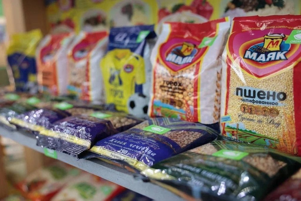   Фото: правительство РО и ТГ-канал В. Савина. Газета "Земля"