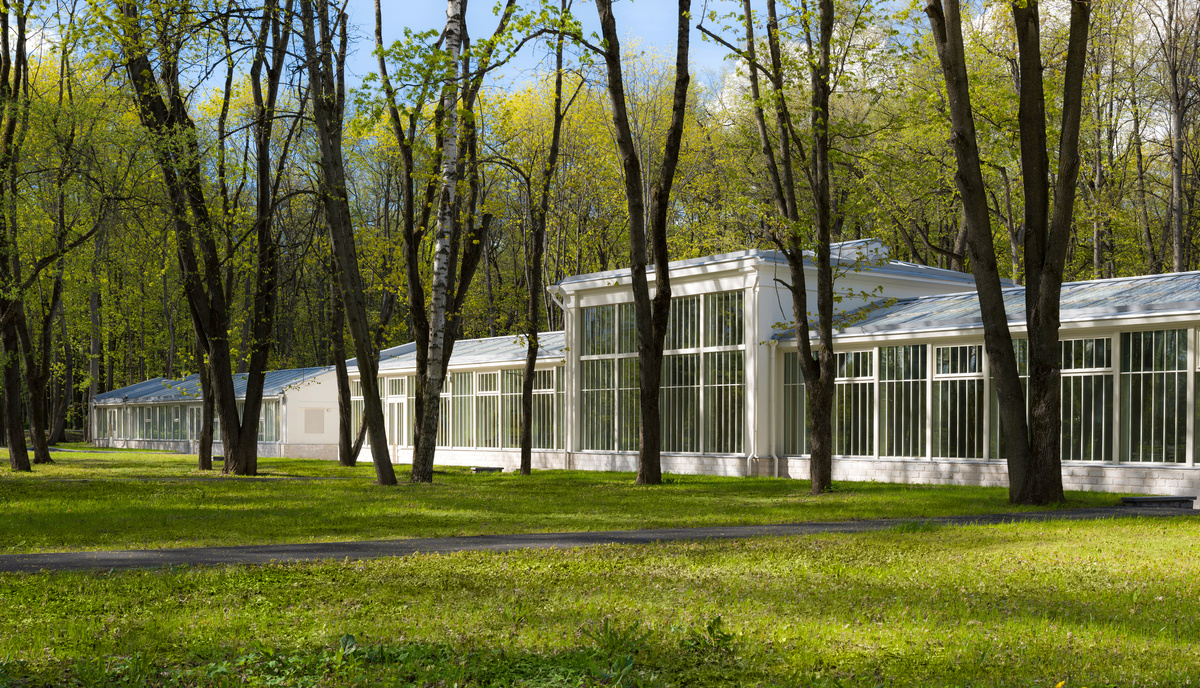 Ботанические оранжереи в Архангельском. Фото с просторов интернета. Цветокоррекция автора статьи.