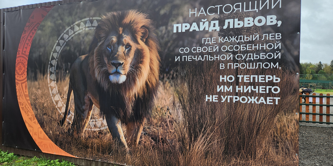 Земля Прайда: место, где учатся заново доверять