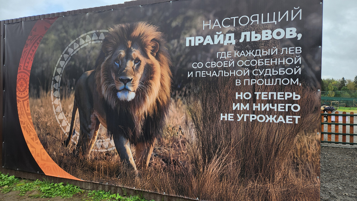 При входе в Парк. 