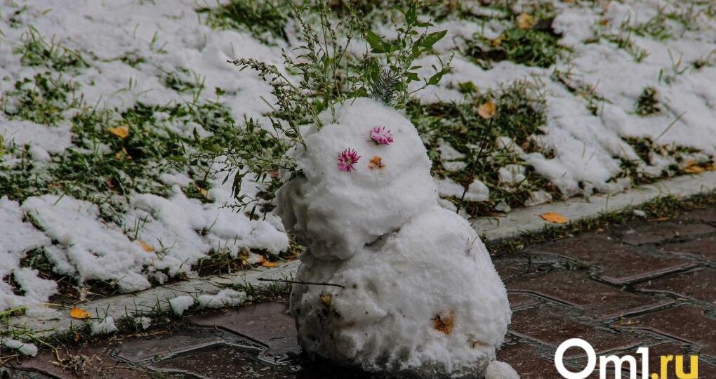 На выходных в Омск нагрянет снежная буря