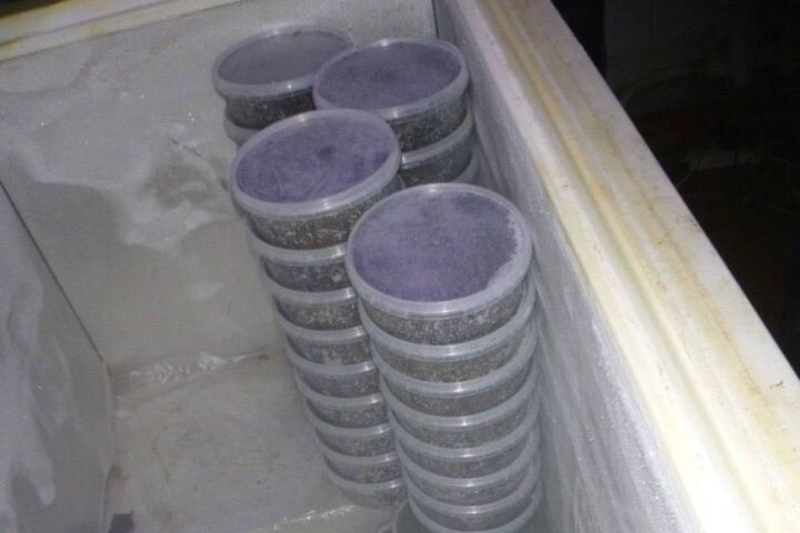    Фото:Пресс-службе УМВД России по Хабаровскому краю