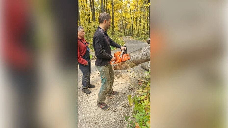    Автор фото: vk.com/vrn_olympic