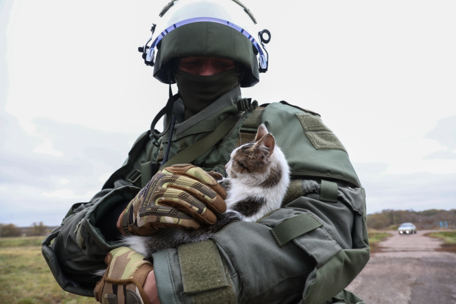    Наталья Шатохина/NEWS.ru