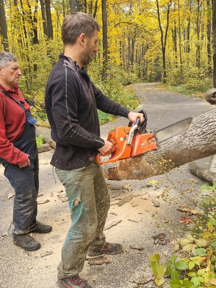     Источник: СОК Олимпик Воронеж