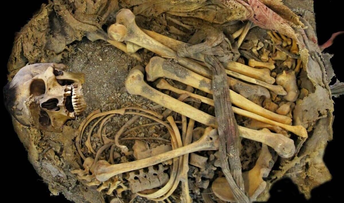    Человек из Зимапана жил в Мезоамерике 1000 лет назад / © Rene Cerritos Flores, CC-BY 4.0