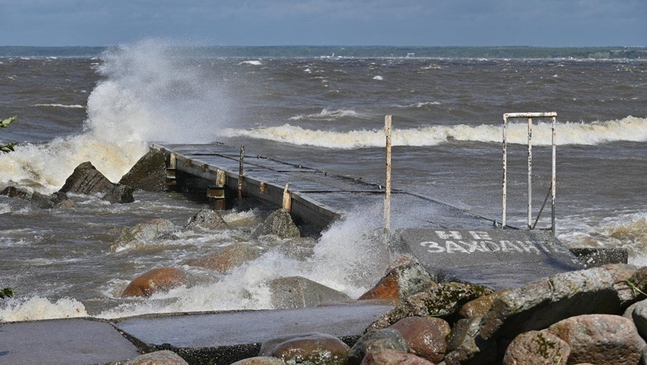 Автор фото: Ермохин Сергей