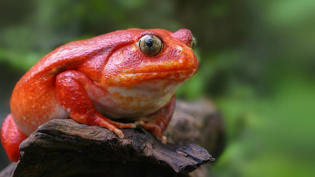    Фото: Shutterstock