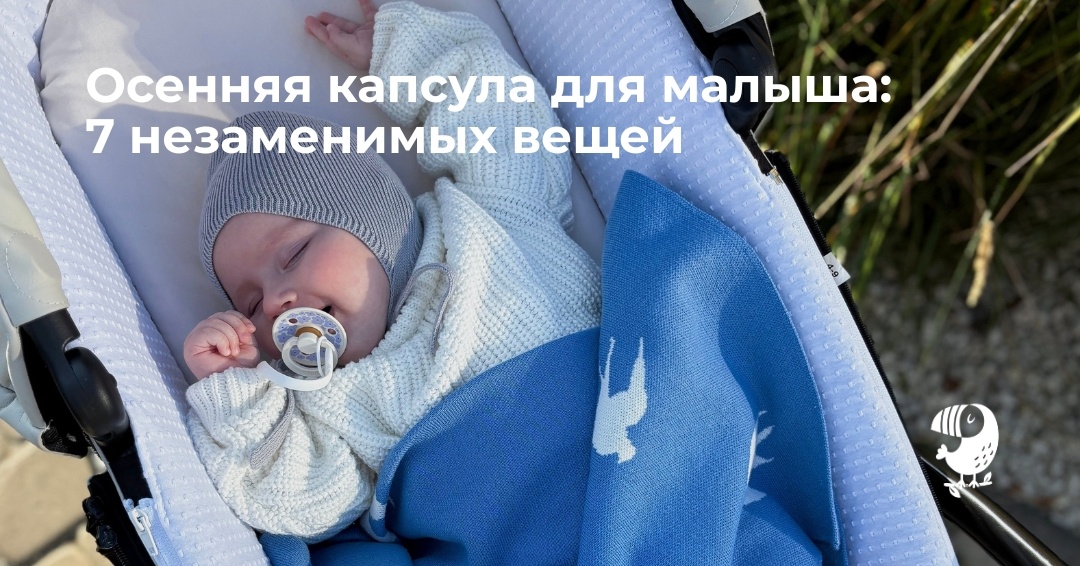 
Осенью каждый родитель знает: нужно продумать гардероб малыша так, чтобы ему было тепло, удобно и практично каждый день. Отличное решение — собрать капсулу. Это всего несколько вещей, которые комбинируются между собой и закрывают все потребности ребёнка.
Мы собрали 7 базовых элементов, которые составят идеальную осеннюю капсулу для малыша. Всю одежду из подборки можно найти в нашем интернет-магазине toucankids.ru
