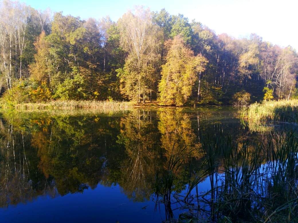 Фото Светланы Алтыновой. Река Воронка.