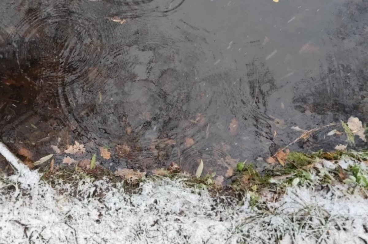    Омичам обещают первый снег и похолодание