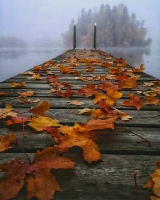 Изображение - интернет.