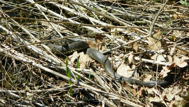      Фото: Юлия Яковенко