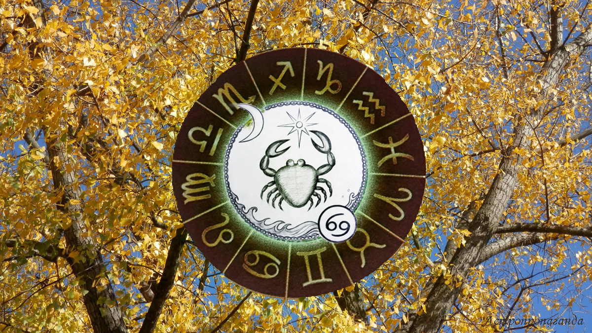 Гороскоп для Раков с 6 октября по 2 ноября 2025.