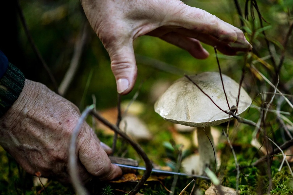    Фото: Константин Чалабов, источник: ria.ru