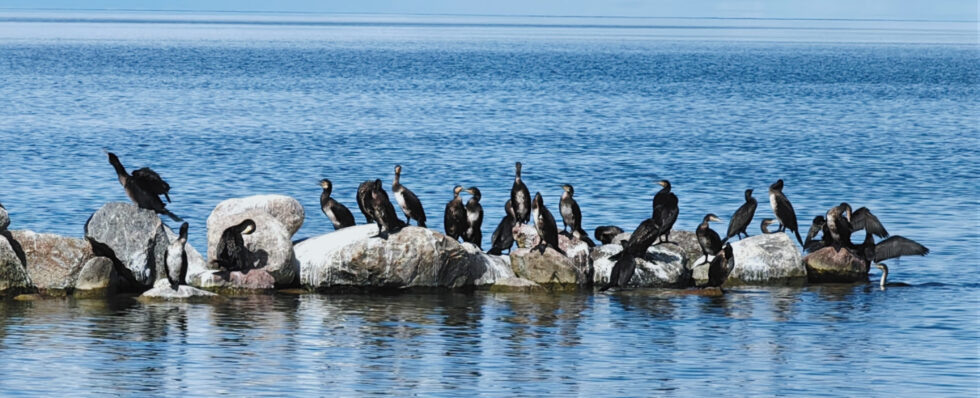 Как я провёл лето: отправился в Калининградскую область с семьёй