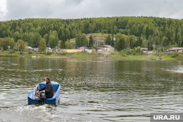   Мужчина отправился за клюквой на болото (архивное фото)