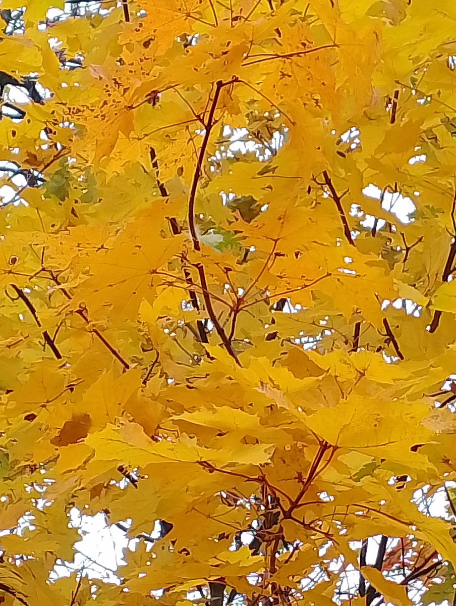 личное фото.