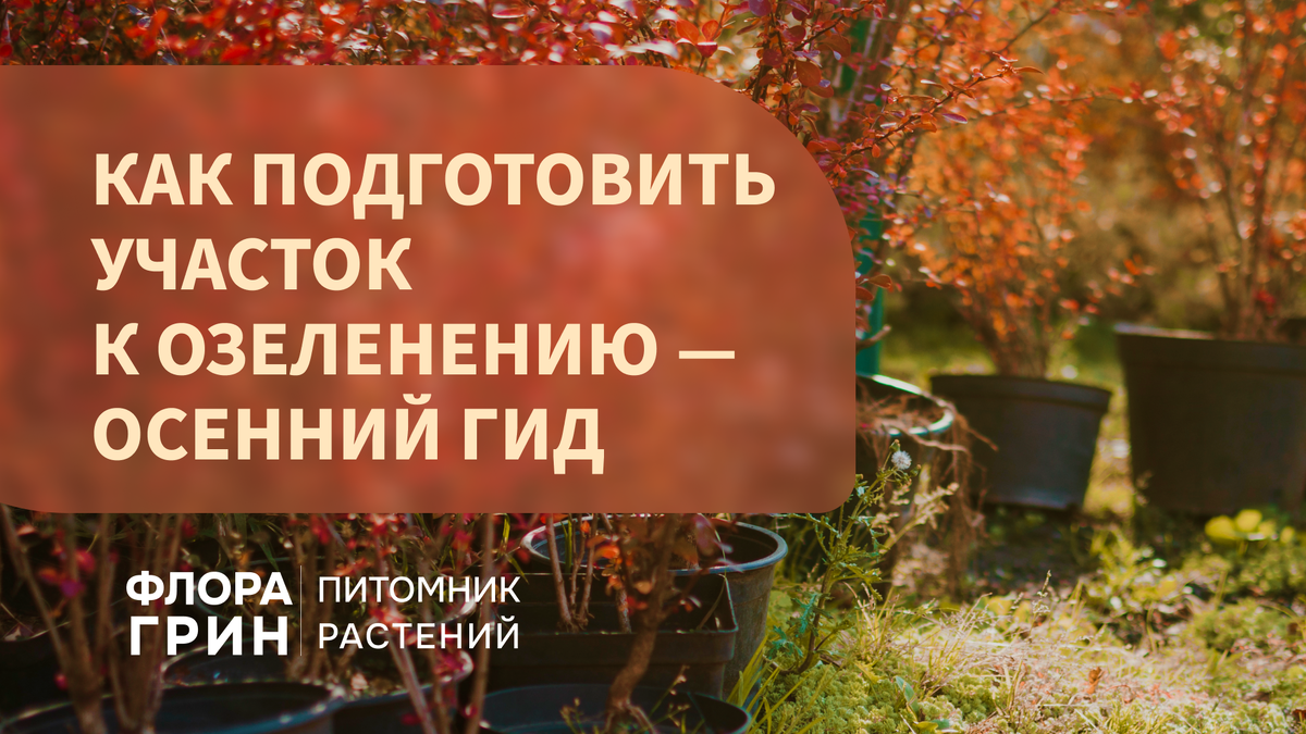 Подготовка участка к озеленению