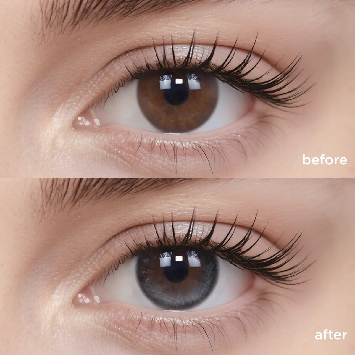 Однодневные линзы Indigo Flannel