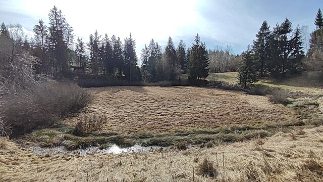 Лицензия: Creative Commons (CC0) Верховое торфяное болото