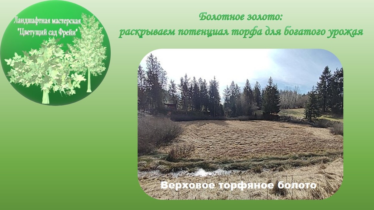 Фото автора с использованием изображения по лицензии CC0.