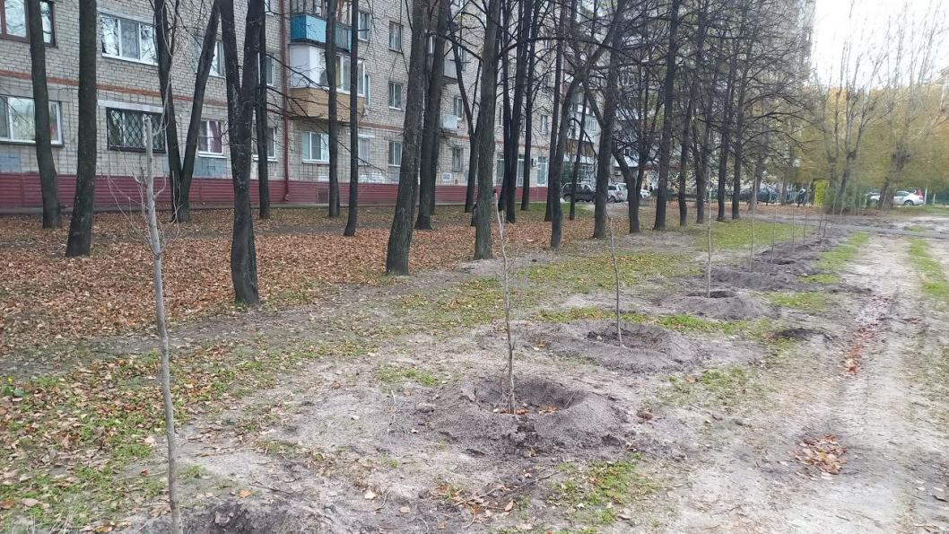 Фото: администрация Тюмени