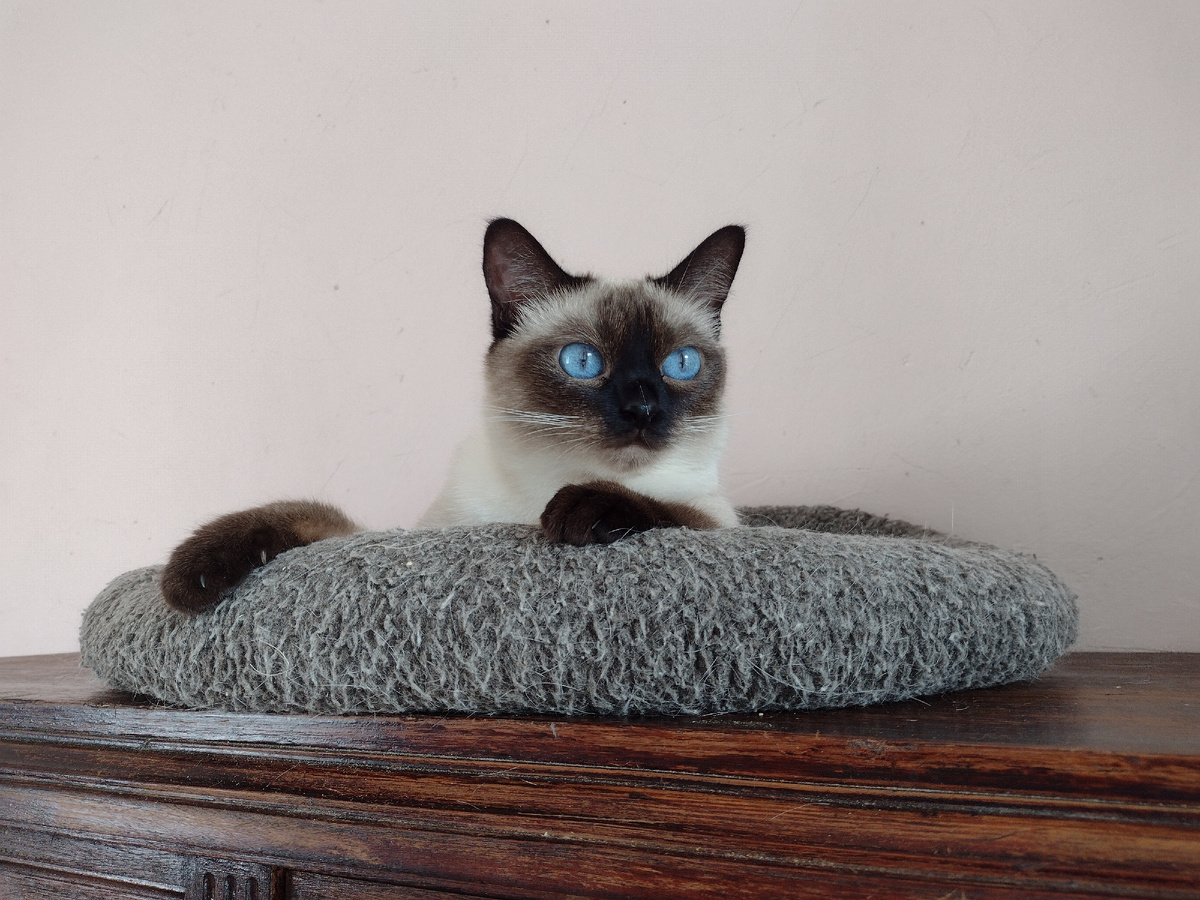 Даже и не думала прятаться, просто мне здесь нравится (Вариация Тайская Легенда)