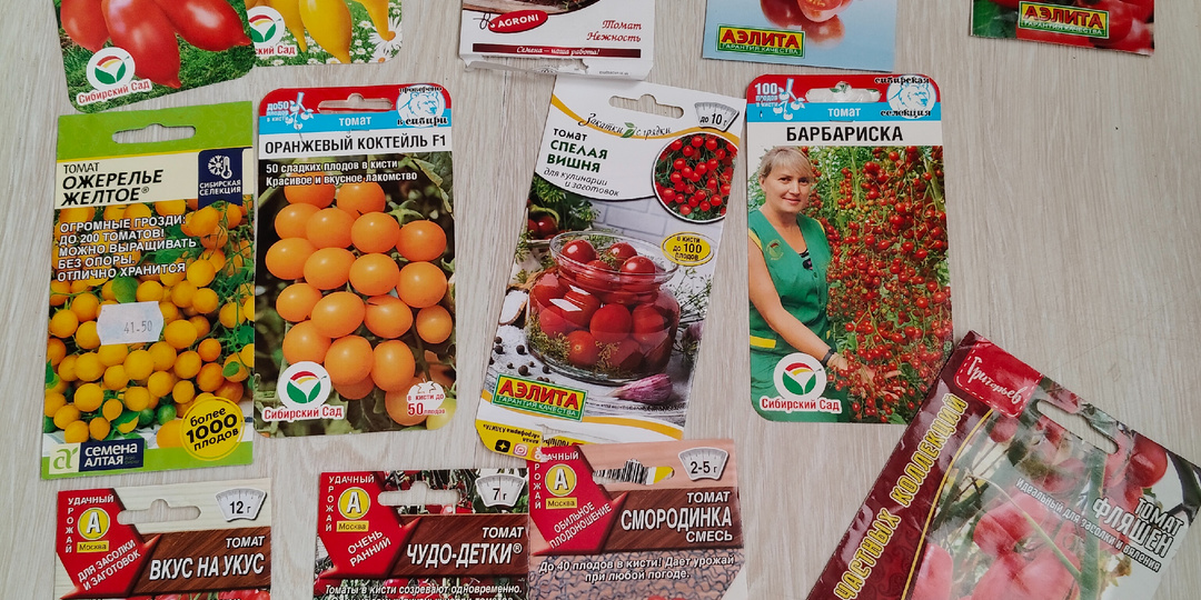 Томатные разочарования 2025