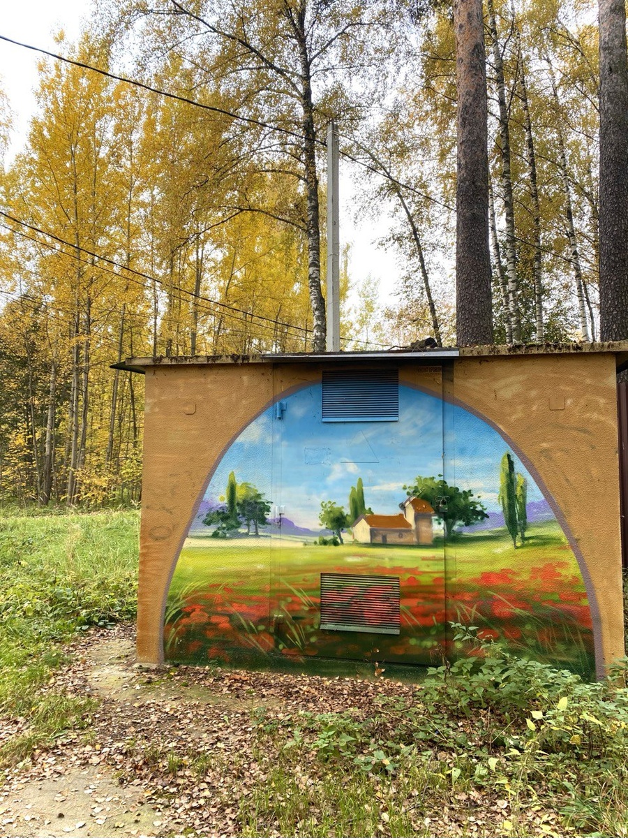 Сфотографировала сегодня на прогулке