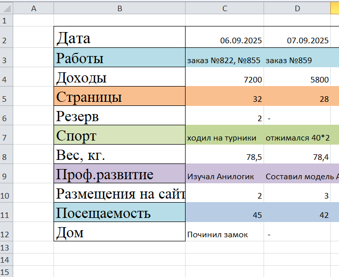 Рис. 1 Таблица личной эффективности