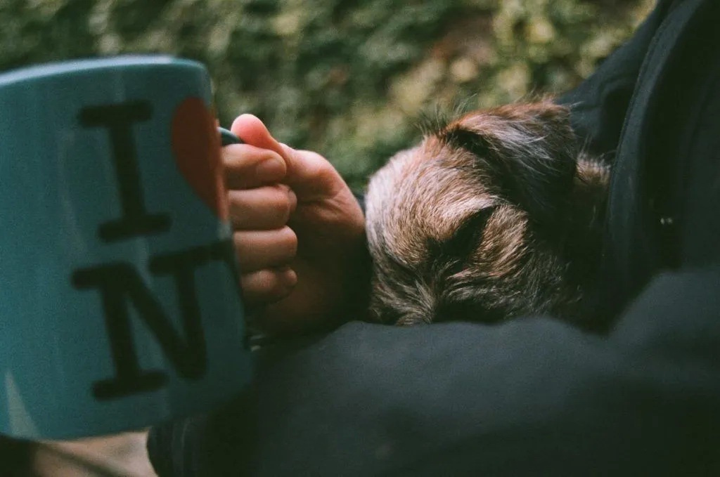    Иногда фото могут выглядеть слегка зеленоватыми — это нормально для этой плёнки / Фото: culturedkiwi.com