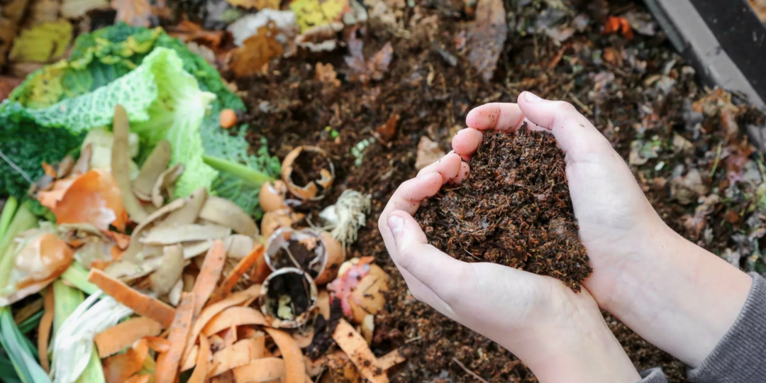 Как подготовить компостную кучу к зиме, чтобы она «не замерзла», а продолжала работать: 5 шагов к тёплому, живому компосту даже под снегом