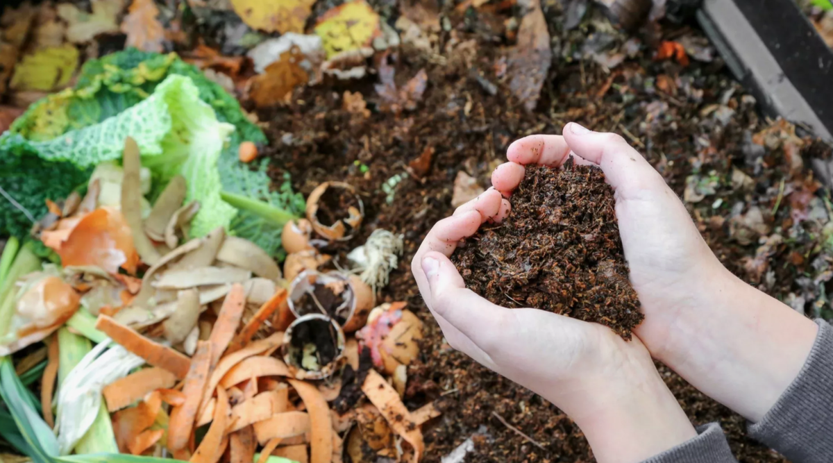 готовим компост