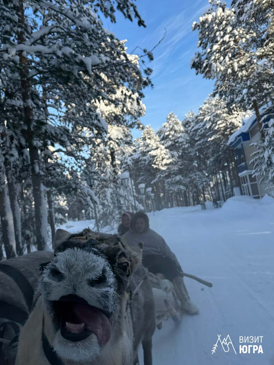 Фото: Этнографическое стойбище «Валикас»
