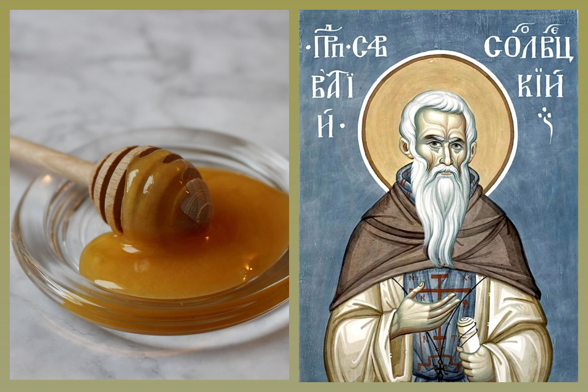 Прп. Савватий Соловецкий, мёд, pixabay.com