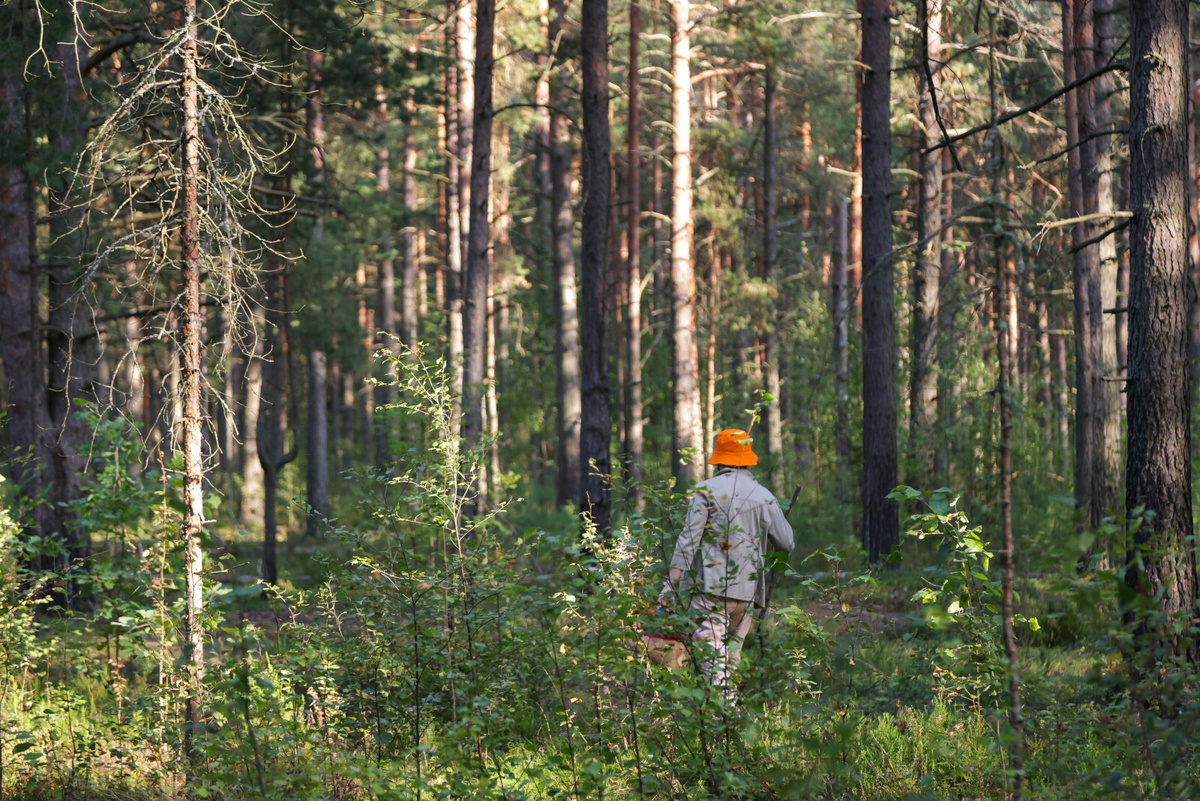 Фото: Роман Пименов
