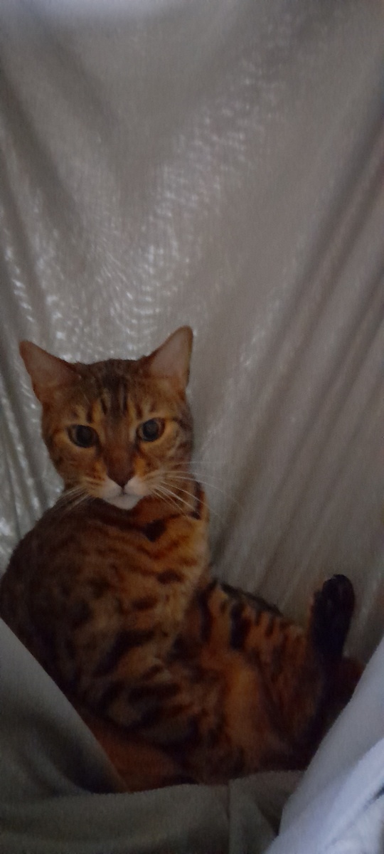 Мурнира смотрит на начальника и смеётся