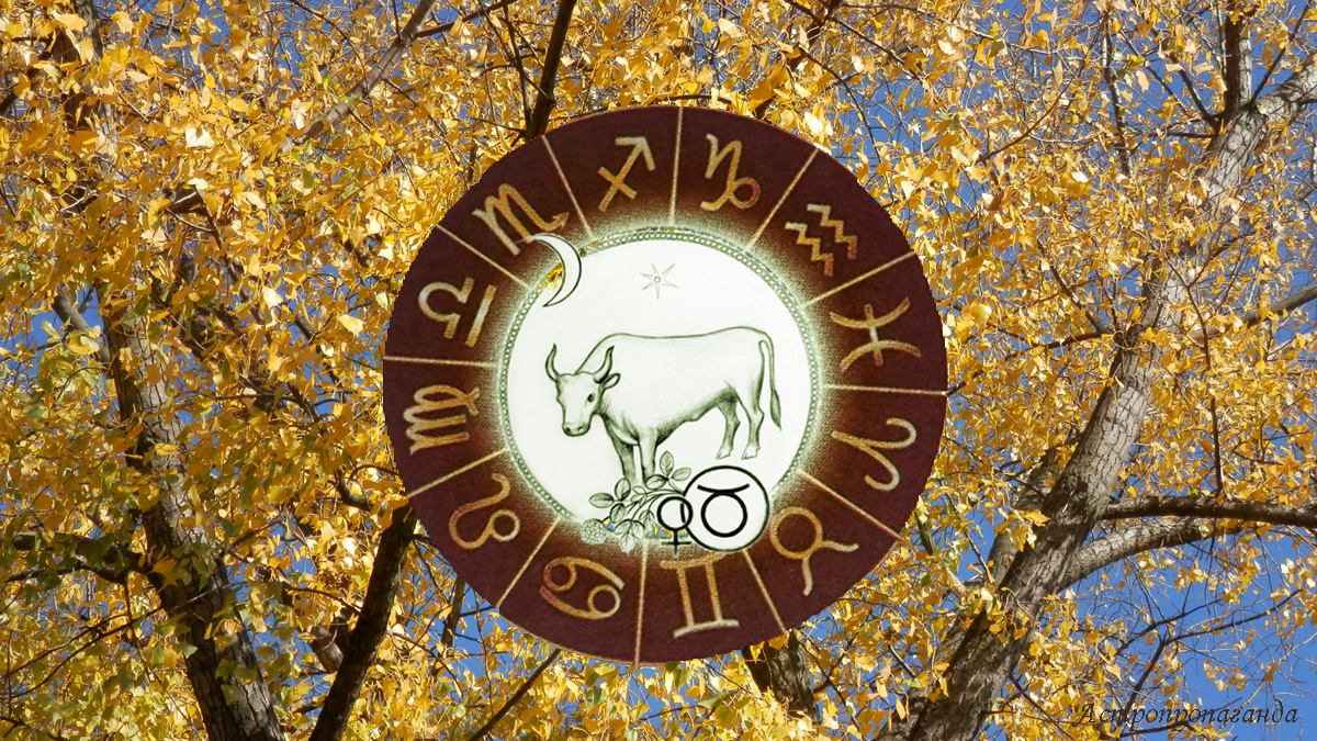 Гороскоп для Тельца с 6 октября по 2 ноября 2025.