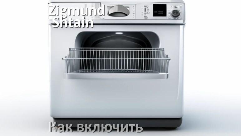 
Как включить посудомоечную машину Zigmund & Shtain правильно