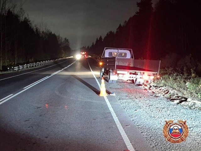 Под Тверью грузовик насмерть сбил пешехода