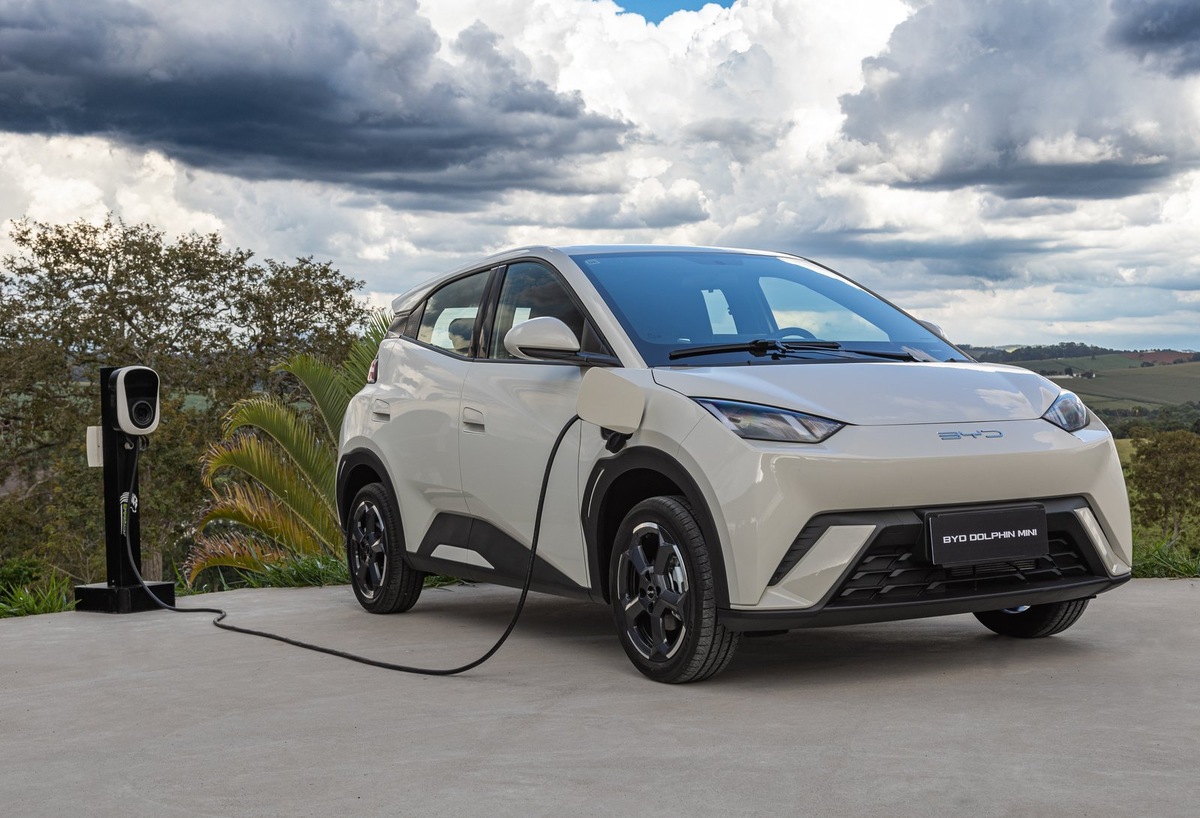    BYD Dolphin Mini